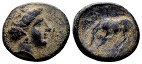 Thessaly, Larissa. 
Late 4th-early 3rd century BC. Æ dichalkous, 2.55 g. Head of the nymph Larissa right, wearing earring / ΛAPI ΣAIΩN horse left, ab...