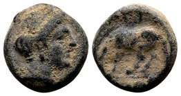 Thessaly, Larissa. 
Late 4th-early 3rd century BC. Æ dichalkous, 2.21 g. Head of the nymph Larissa right, wearing earring / ΛAPI ΣAIΩN horse left, ab...