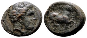 Thessaly, Phalanna. 
4th century BC. Æ chalkous, 4.36 g. Head of youthful malep / ΦAΛANNAIΩN horse prancing right. BCD Thessaly II 587.2. S. Very fin...