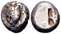 Aegina, Aegina. 
Ca. 480-457. AR stater, 12.00 g. Sea turtle with no collar and an almost smooth carapace / skew pattern within incuse square. Milban...