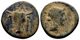 Phokis, Elateia. 
Late 4th - mid 3rd century BC. Æ18, 4.24 g. EΛ bull's head facing, fillets hanging from horns / ΦΩKEΩN laureate head of Apollo righ...
