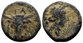Phokis, Elateia. 
3rd century BC. Æ19, 7.51 g. EΛ bull's head facing, fillets hanging from horns / ΦΩKEΩN laureate head of Apollo right. BCD Lokris-P...