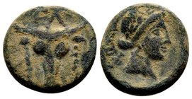 Phokis, Elateia. 
Early 2nd century BC. Æ15, 4.33 g. EΛ bull's head facing, fillets hanging from horns / ΦΩKEΩN laureate head of Apollo right. BCD Lo...