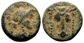 Phokis, Elateia. 
Early 2nd century BC. Æ17, 4.13 g. Head of bull facing, fillets hanging from horns; above: ΕΛ / ΦΟΚEΩΝ laureate head of Apollo righ...