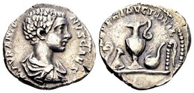 Caracalla
Rome, 196 AD. AR denarius, 3,04 g. M AVR ANTONINVS CAES draped bust of young Caracalla right / SEVER AVG PII FIL priestly implements: lituu...