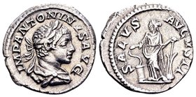 Elagabal
Rome, 219 AD. AR denarius, 2.89 g. IMP ANTONINUS laureate, draped bust right / AUG SALUS AVGUSTI Salus standing left with rudder on globe, f...