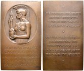 Frankfurt, Stadt. Bronzegussplakette 1914 von R. Bosselt, auf die Gründung der Johann-Wolfgang-Goethe-Universität. Im vertieften Oval das Hüftbild der...