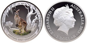 Australia. Elizabeth II. 1 dollar. 2013. (Km-1946). Ag. 31,11 g. Coloured Edition. Kangaroo. PR. Est...40,00.