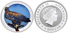 Australia. Elizabeth II. 1 dollar. 2017. Perth. P. Ag. 15,56 g. Coloured Edition. Eagle. PR. Est...30,00.