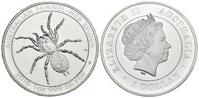 Australia. Elizabeth II. 1 dollar. 2015. Perth. P. Ag. 31,11 g. Spider. PR. Est...25,00.