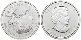 Canada. Elizabeth II. 5 dollars. 2012. (Km-1241). Ag. 31,11 g. Maple. PR. Est...25,00.