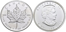 Canada. Elizabeth II. 5 dollars. 2012. Maple Leaf. (Km-625). Ag. 31,11 g. PR. Est...25,00.