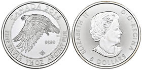 Canada. Elizabeth II. 8 dollars. 2016. Ag. 46,85 g. Eagle. PR. Est...45,00.