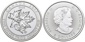 Canada. Elizabeth II. 8 dollars. 2017. Ag. 46,66 g. Maple's. PR. Est...50,00.