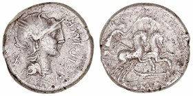 Cipia
Denario. AR. (115-114 a.C.). A/Cabeza de Roma a der., delante M CIPI M F, detrás X. R/Victoria con palma, en biga a der., debajo timón y en exe...