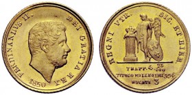 MONETE ITALIANE
NAPOLI
Ferdinando II di Borbone, 1830-1859. 3 Ducati 1850. Au Testa nuda, adulta, piccola e barbuta a d. Rv. Genio borbonico alato i...