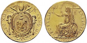 MONETE ITALIANE
ROMA
Leone XII (Annibale Sermattei della Genga), 1823-1829. Doppia detta Leonina 1825 a. III. Au Stemma su chiavi, sormontato da tia...