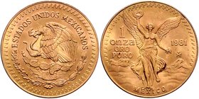 Mexiko Republik
 1 Unze 1981 34,64g. KM 489 stgl