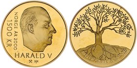 Norwegen Harald V. 1991 - heute
 1500 Kronen 2000 auf das Jahr 2000. 17,00g . KM 467 PP