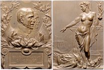Franz Joseph I. 1848 - 1916
 Br - Medaille 1909 auf die Gemeinschaft der Siebenbürgen - Museen, von Vastagh György, Dm 61x45 mm. 90,72g. Huszár-Proco...