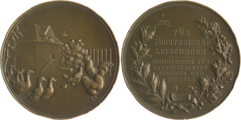 Brandenburg in den Marken - Preussen Wilhelm I. 1861-1888 Bronzemedaille o.J. (v...