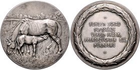 Nürnberg - Stadt Silbermedaille 1924 (v. Lauer) a.d. Fohlenschau des Vereins fränkischer Pferdezüchter e.V., i.Rd: 990, dazu Aluminiummedaille 1900 (v...