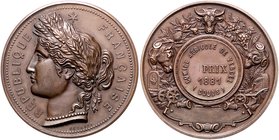 Frankreich III. République 1871-1940 Bronzemedaille 1881 (v. Desaide) Preismedaille der Landwirtschaftsmesse in Vercel, i.Rd: Füllhorn BRONZE 
41,8mm...