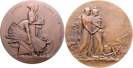 Großbritannien George V. 1910-1936 Lot von 2 Stücken: Bronzemedaille 1925 (v. B.M.) a.d. British Empire Ausstellung und Bronzemedaille 1903 (v. Loudra...
