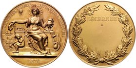 - Luftfahrt Galvano 1879 (v. Depose) 2 einseitige, vergoldete Kupfer-Galvanos m. Zinn hinterlegt, offizielle Prämienmedaille der Ausstellung für Wisse...