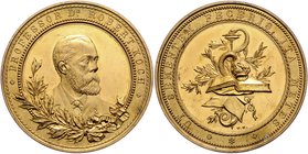 - Personen - Koch, Robert 1843-1910 Vergoldete Medaille o.J. (v. M.&W.) a.d. Mediziner, Entdecker des Tuberkelbazillus und des Cholerabazillus. Varian...