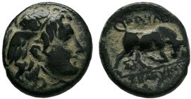 SELEUKID KINGS OF SYRIA. Seleukos I Nikator, 312-281 BC. AE Bronze, Sardes (?). Winged head of Medusa to right. Rev. BAΣIΛEΩΣ / ΣΕΛΕΥΚOY Bull butting ...