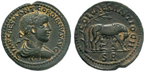 Pisidia. Antioch. Gordian III. AD 238-244. AE Bronze.IMP CAES M ANT GORDIANVS AV-G, laureate head right / CAES ANTIOCH COL, she-wolf standing right un...