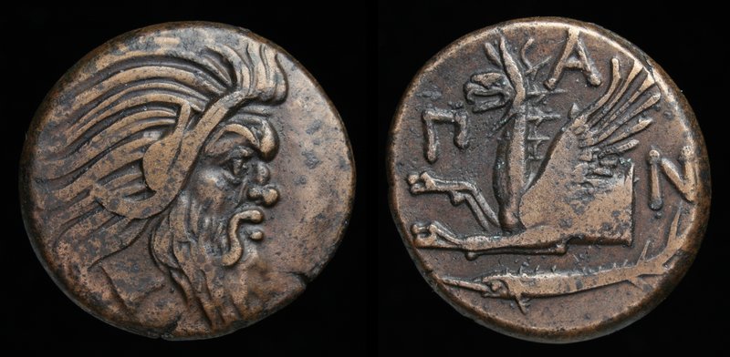 CIMMERIAN BOSPORUS, Pantikapaion, c. 310-303BC, AE 22. 7.61g, 21.5mm
Obv: Beard...