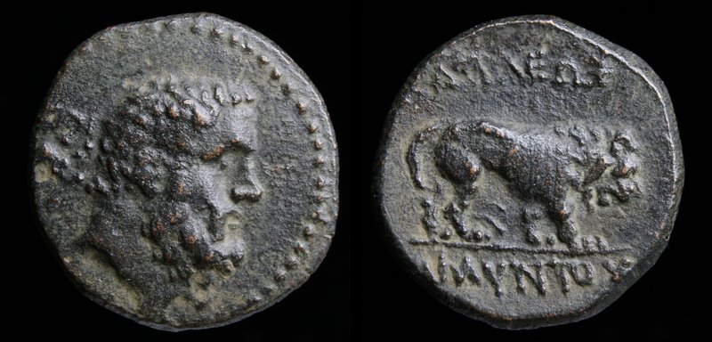 KINGS OF GALATIA: Amyntas (39-25 BCE), AE18. 4.38g, 20mm.
Obv: Head of Herakles...
