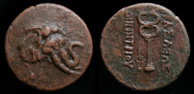 GRECO-BAKTRIAN KINGDOM, Demetrios I Aniketos, c. 200-185 BCE, Æ trichalkon. 8.85...