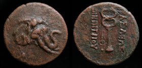 GRECO-BAKTRIAN KINGDOM, Demetrios I Aniketos, c. 200-185 BCE, Æ trichalkon. 8.85g, 28mm.
Obv: Head of elephant right, wearing bell around neck.
Rev:...