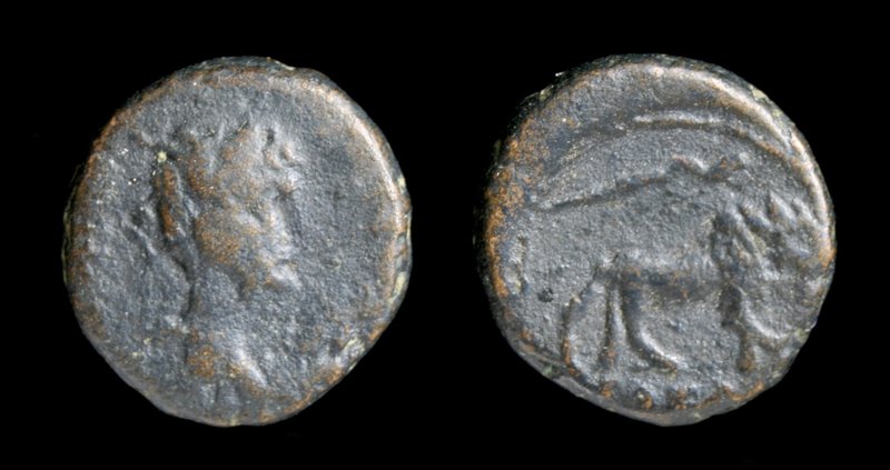 JUDAEA, Caesarea Maritima: Hadrian (117-138 AD), AE12. 2.72g, 12mm.
Obv: IMP TR...