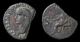 Gaius Caligula (37-41), AE as, issued 39-41. Rome, 9.18g, 21x28mm. 
Obv: C CAESAR DIVI AVG PRON [AVG P M TR P III(I)] P P, bare head left
Rev: VESTA...