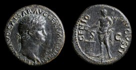 Nero (54-68), AE As, issued 64. Rome, 7.20g, 23mm. 
Obv: NERO CLAVD CAESAR AVG GER P M TR P IMP P P, Laureate bust r. 
Rev: GENIO AVGVSTI SC, Genius...