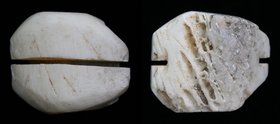 CHINA: Zhou dynasty (1046-256 BCE), Bone cowrie. 1.84g, 14-17mm.
Hartill 1.2.
From the Sallent collection.
Actual cowrie shells were repositories o...