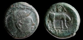 KINGS of MACEDON, Pella under Philip V to Perseus, c. 187-168/7 BCE, AE18. 7.84g, 17mm.
Obv: Helmeted head of Athena right
Rev: ΠEΛΛHΣ, cow grazing ...