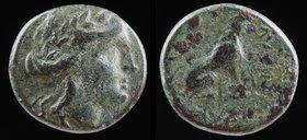 THRACE, Lysimacheia, c. 309-220 BCE, AE18. 6.37g, 19mm.
Obv: Laureate head of Apollo right.
Rev: Lion seated right. 
SNG Copenhagen 909-12
See lot...