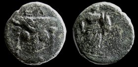 PHOKIS, Elateia, c. 3rd-2nd centuries BCE, AE 16. 3.88g, 15mm.
Obv: ΕΛ , two letters abbreviating ethnic above head of bull, facing, its horns draped...