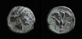 CARIA, Rhodes, 350-300 BCE, AE Chalkous. 10mm
Obv: Head of nymph Rhodos right.
Rev: Rose with one bud right P/O on either side.
Ashton 2001, 124