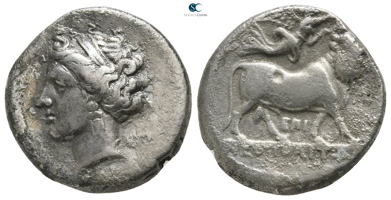 Campania. Neapolis circa 275-250 BC. 
Didrachm or Nomos AR

20 mm., 7,04 g.
...