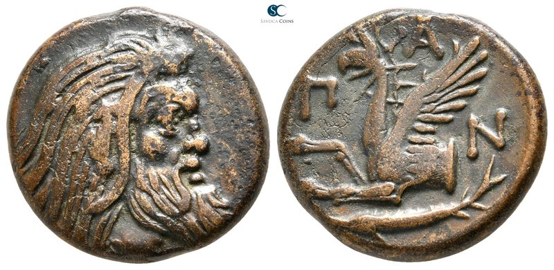 The Tauric Chersonese. Pantikapaion 325-300 BC. 
Bronze Æ

20 mm., 7,45 g.
...