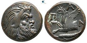 The Tauric Chersonese. Pantikapaion circa 310-304/3 BC. Bronze Æ