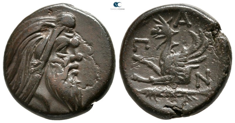 Cimmerian Bosporos. Pantikapaion circa 310-304 BC. 
Bronze Æ

21 mm., 6,90 g....