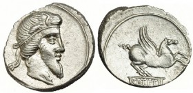 TITIA. Denario. Roma (90 a.C.). A/ Cabeza de Mutinus Titinus a der. SB-1. FFC-1142. Acuñación algo floja. EBC.