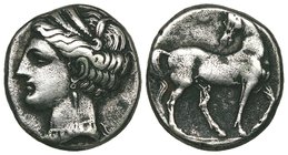 Zeugitana, Carthage, reduced weight shekel, First Punic War, 264-241 BC, wreathed head of Tanit left, rev., horse standing right with head looking bac...